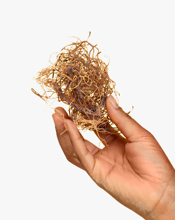 Dr. Sebi Grade Organic Sea Moss